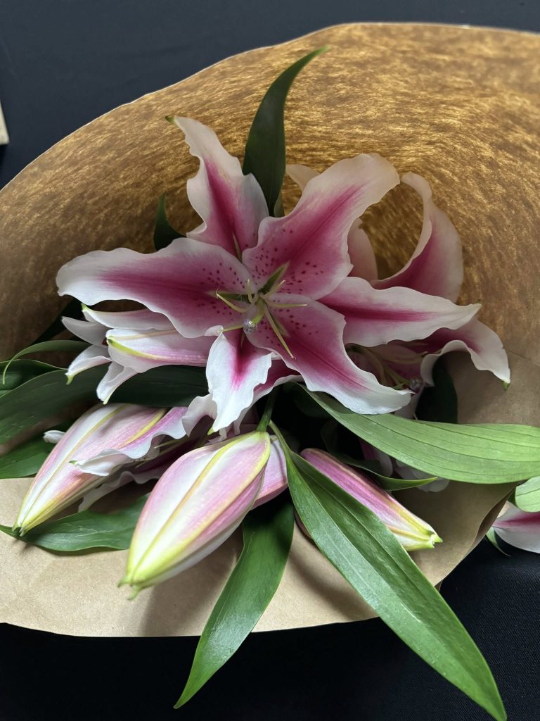 Pink Lily
