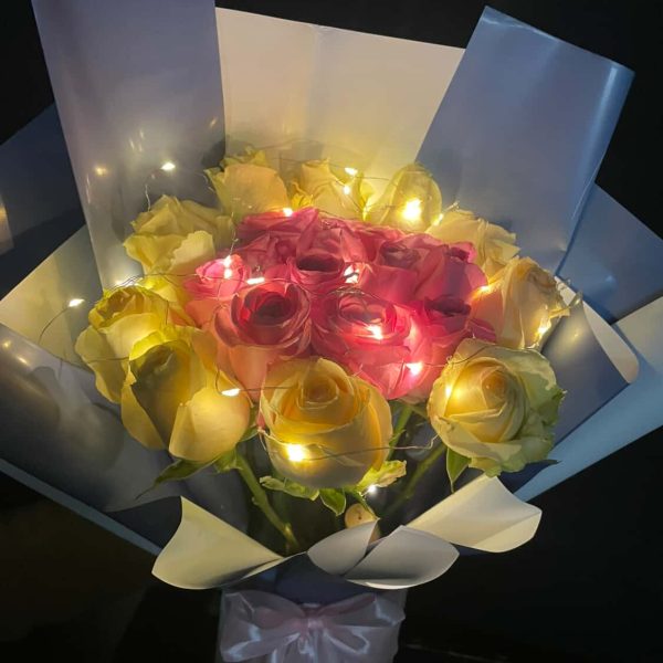 20 Light Peach and Pink Roses - Premium